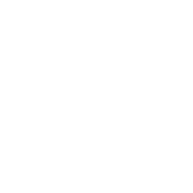 The image is blank with a plain white background and no visible objects or text.